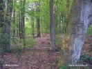 Národní park Drents-Friese Wold (<em>NL</em>)