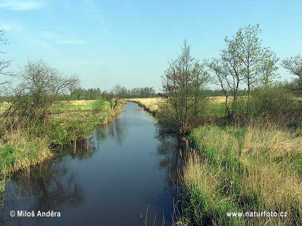 Národný park De Weerribben (NL)