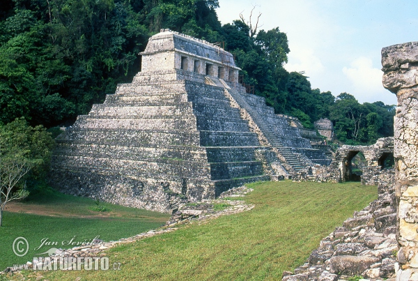 Mayské město Palenque (MEX)