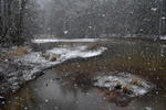 vánice na Staré řece 1 (<em>Snowstorm</em>)