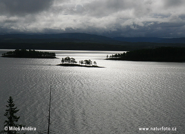 Jazero Snåsavatnet (N)