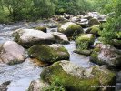 Dartmoorský národní park (<em>UK</em>)