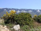 Národní park Ainos (<em>GR</em>)