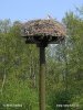 Národní park Alde Feanen (<em>NL</em>)