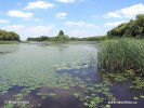 Národní park Balatonfelvidéki (<em>HU</em>)