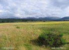 Národní park Cairngorms (<em>UK</em>)