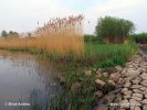 Národní park De Biesbosch (NL)