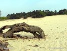 Národní park De Loonse en Drunense Duinen (NL)