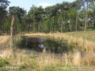 Národní park De Maasduinen (<em>NL</em>)