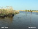 Národní park Lauwersmeer (NL)