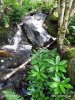 Národní park Loch Lomond and Trossachs (<em>UK</em>)