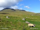 Národní park Loch Lomond and Trossachs (<em>UK</em>)