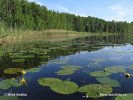 Národní park Müritz (DE)