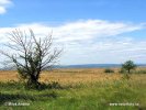 Národní park Neusiedler See-Seewinkel (<em>AT</em>)