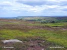 Národní park North York Moors (<em>UK</em>)