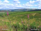 Národní park Northumberland (<em>UK</em>)