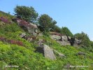 Národní park Peak District (<em>UK</em>)