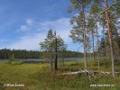 Národní park Pyhä-Häki (<em>F</em>)