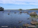 Národní park Salamajärvi (<em>F</em>)