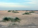 Národní park Schleswig-Holsteinisches Wattenmeer (<em>DE</em>)