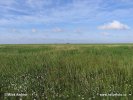 Národní park Schleswig-Holsteinisches Wattenmeer (<em>DE</em>)