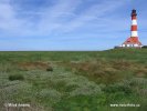 Národní park Schleswig-Holsteinisches Wattenmeer (<em>DE</em>)