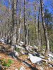 Národní park Severní Velebit (<em>HR</em>)