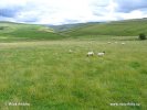 Národní park Yorkshire Dales (<em>UK</em>)