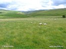 Národní park Yorkshire Dales (<em>UK</em>)