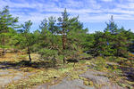 NP Kosterhavet, Švédsko (<em>Kosterhavets nationalpark</em>)