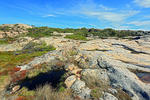 NP Kosterhavet, Švédsko (<em>Kosterhavets nationalpark</em>)