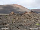 NP Timanfaya (<em>E</em>)