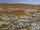 NP Varanger (Varangerhalvøya) (<em>N</em>)