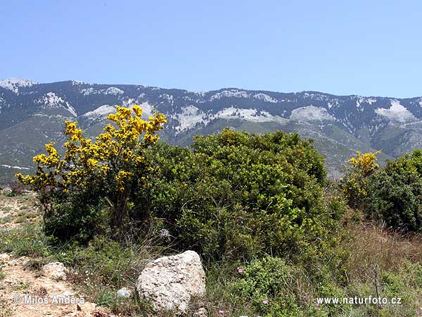 Národní park Ainos (GR)