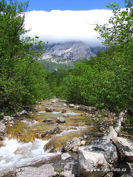 Národní park Paklenica (HR)
