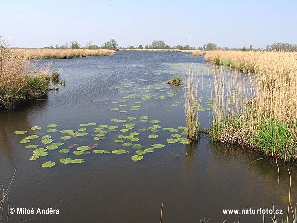 Národný park Alde Feanen (NL)