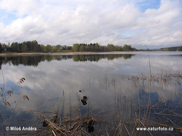 Národný park Aukštaitijos (LT)