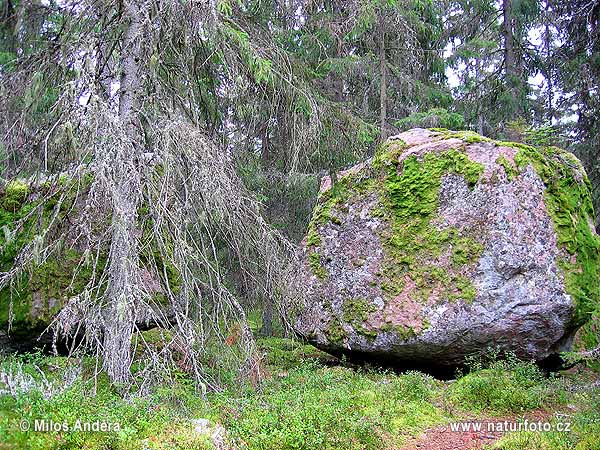 Národný park Björnlandet (S)