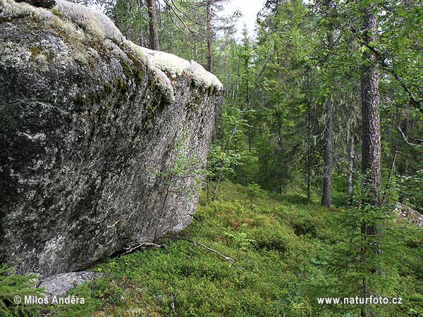 Národný park Björnlandet (S)