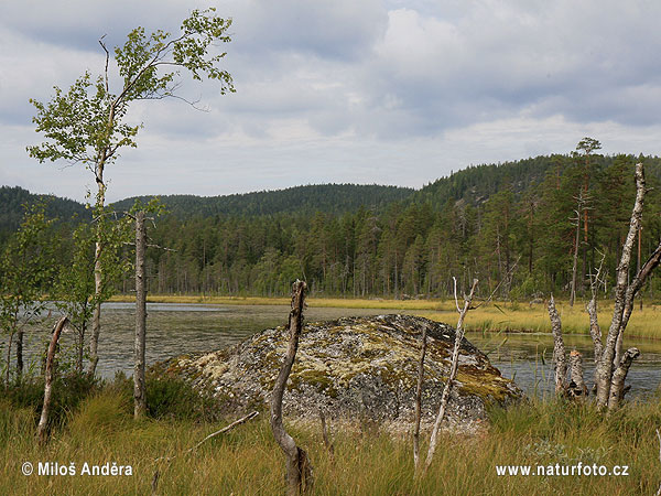 Národný park Björnlandet (S)