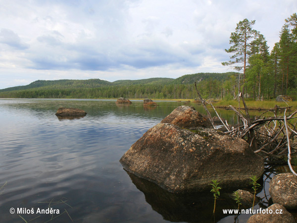 Národný park Björnlandet (S)