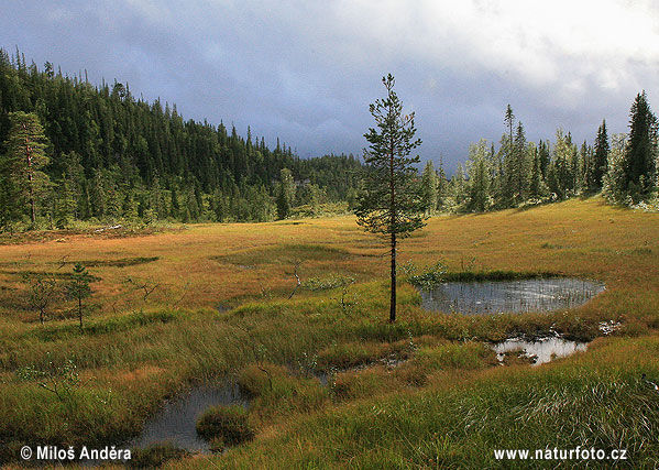 Národný park Blafjella-Skjaerfjella (N)