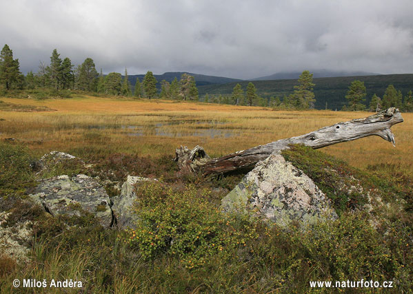 Národný park Blafjella-Skjaerfjella (N)