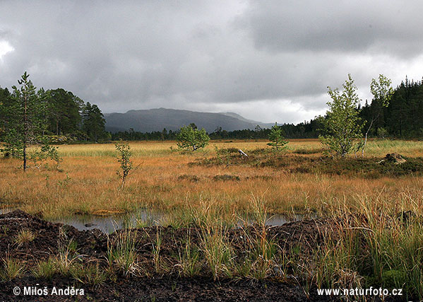 Národný park Blafjella-Skjaerfjella (N)