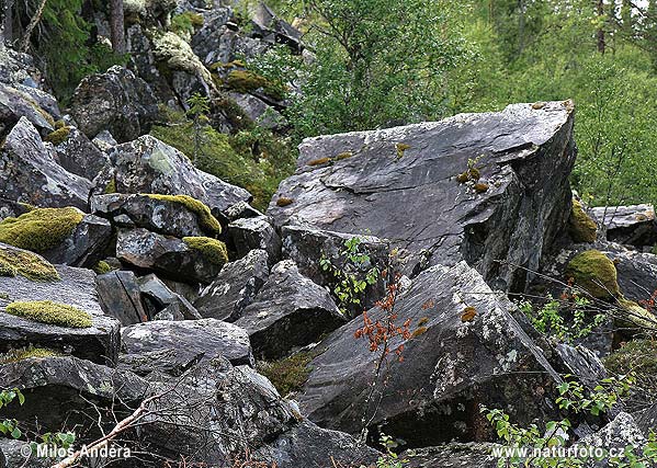 Národný park Blafjella-Skjaerfjella (N)