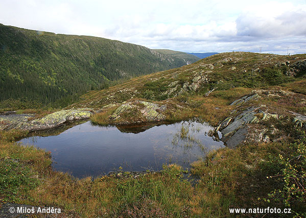 Národný park Blafjella-Skjaerfjella (N)