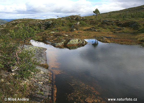 Národný park Blafjella-Skjaerfjella (N)