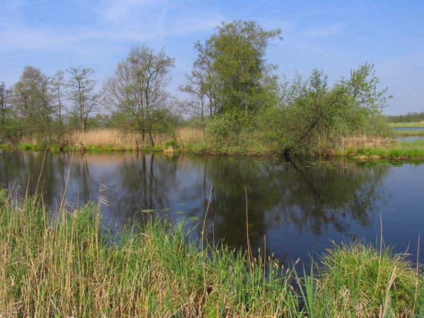 Národný park De Weerribben (NL)