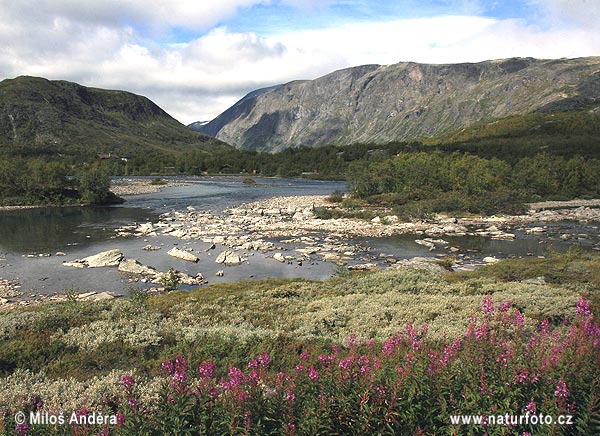 Národný park Dovrefjell (N)