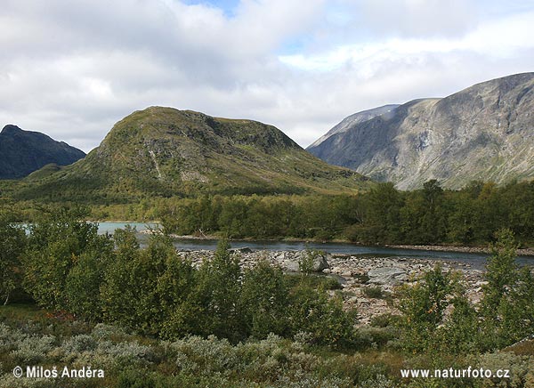 Národný park Dovrefjell (N)